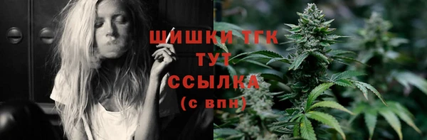 соль ск Верхний Тагил