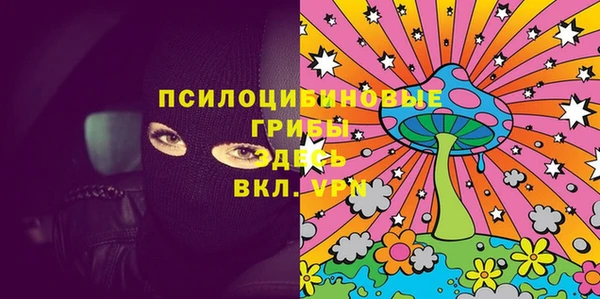 СК Верея